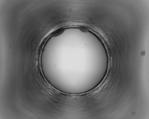 X0000101141165200806270730