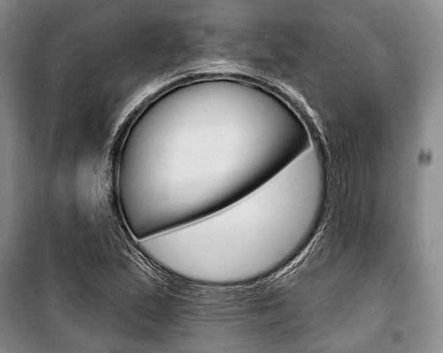 X0000101141167200806270730