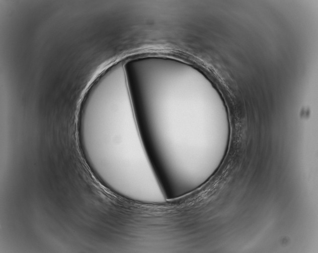 X0000101141168200806270729