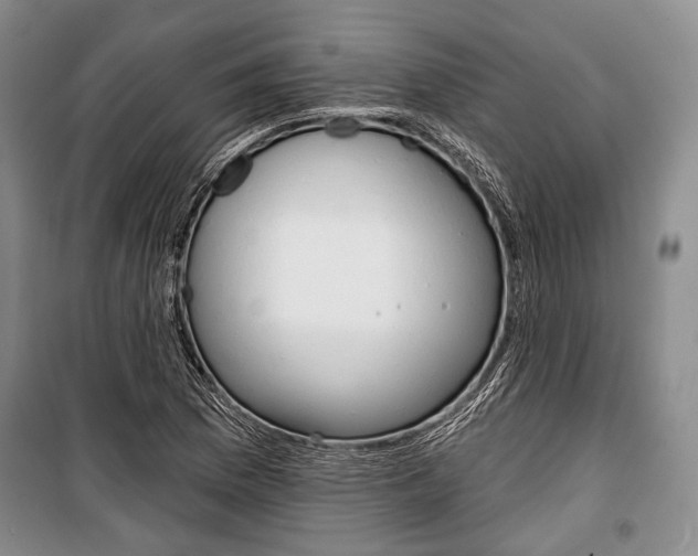 X0000101141169200806270729