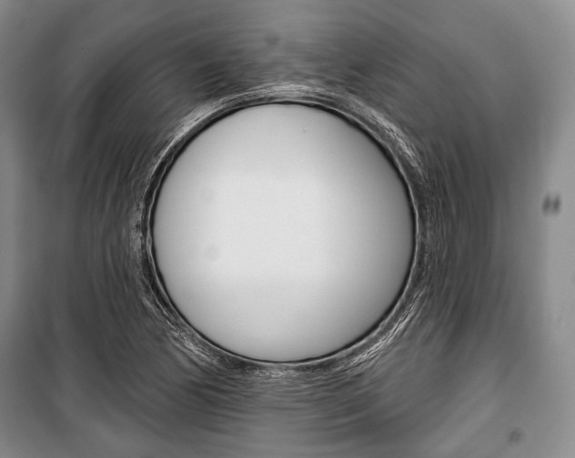 X0000101141170200806270729
