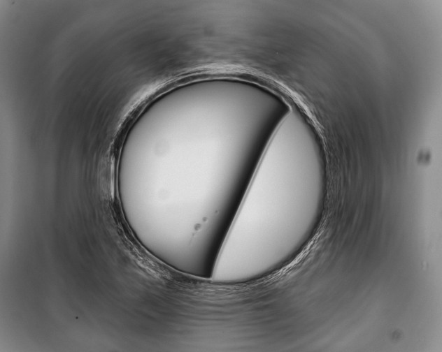 X0000101141171200806270729