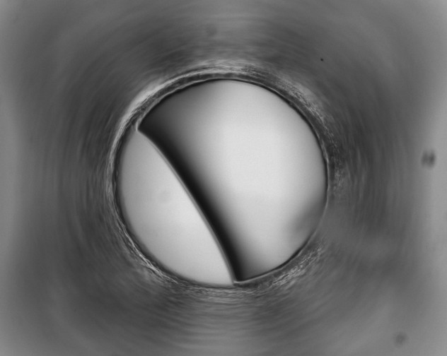 X0000101141172200806270729