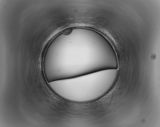 X0000101141173200806270729