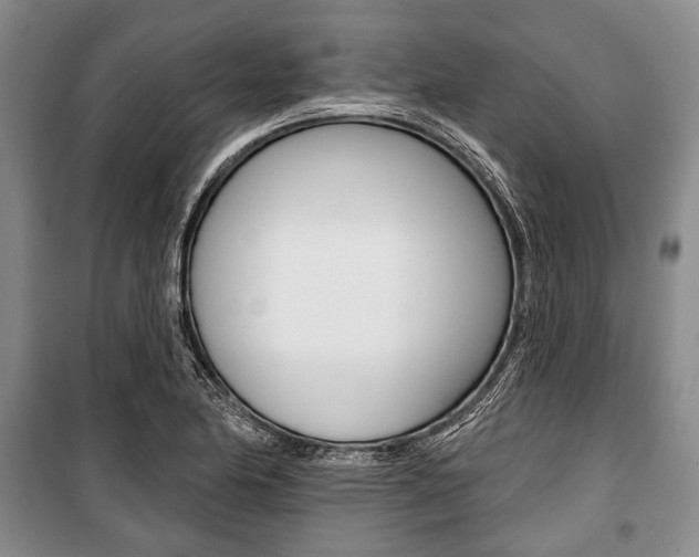 X0000101141174200806270729