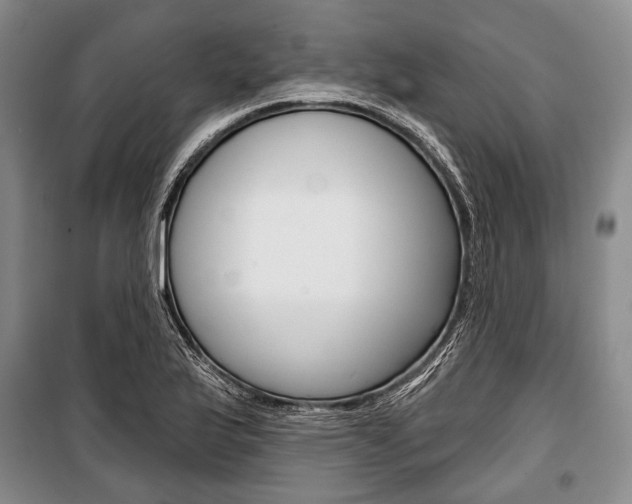 X0000101141175200806270729