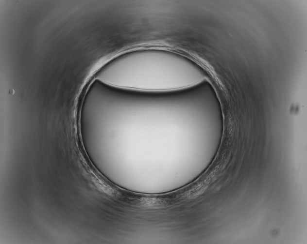 X0000101141176200806270729