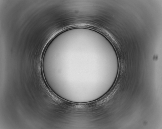 X0000101141178200806270729