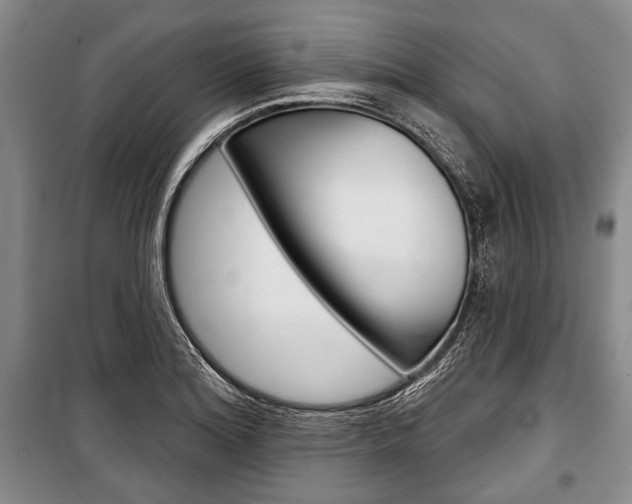 X0000101141180200806270729