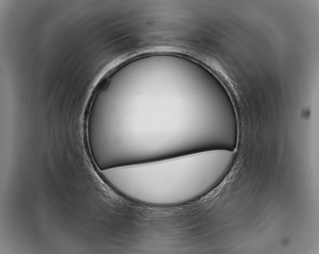 X0000101141181200806270729