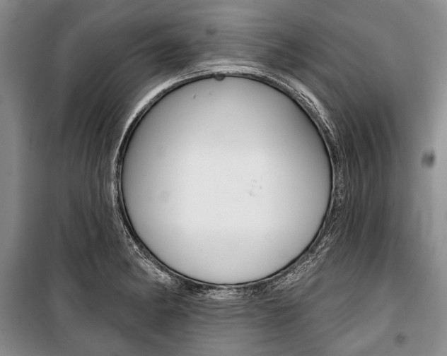 X0000101141182200806270729