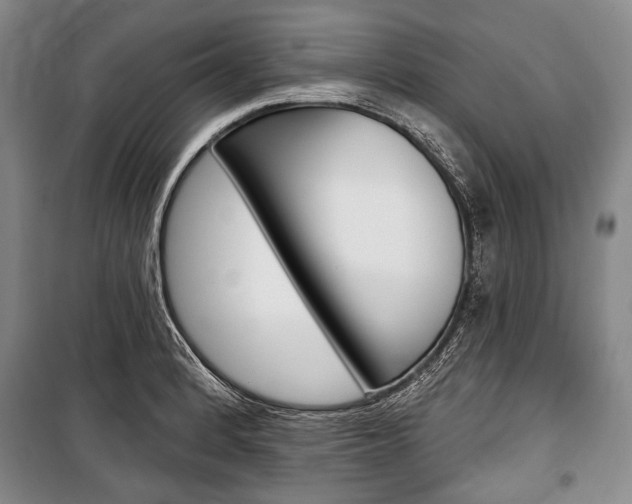 X0000101141184200806270729