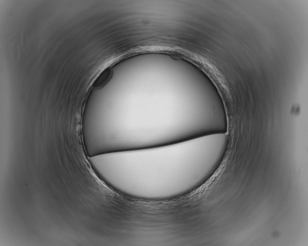 X0000101141185200806270729