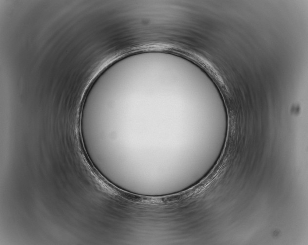 X0000101141186200806270729