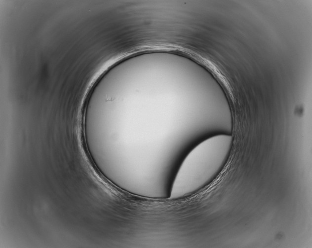 X0000101141187200806270729