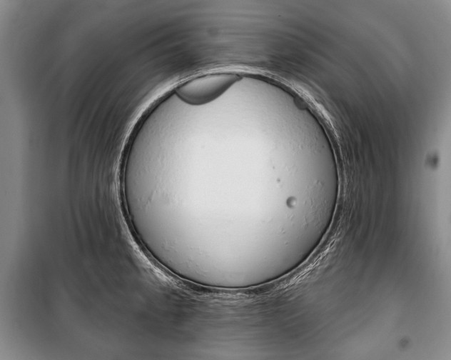 X0000101141189200806270729
