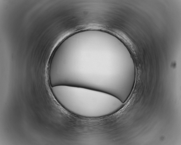 X0000101141190200806270729