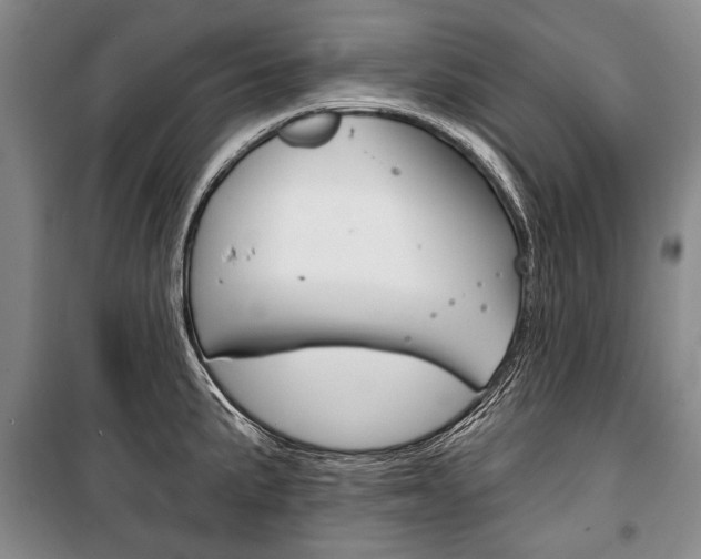 X0000101141191200806270729