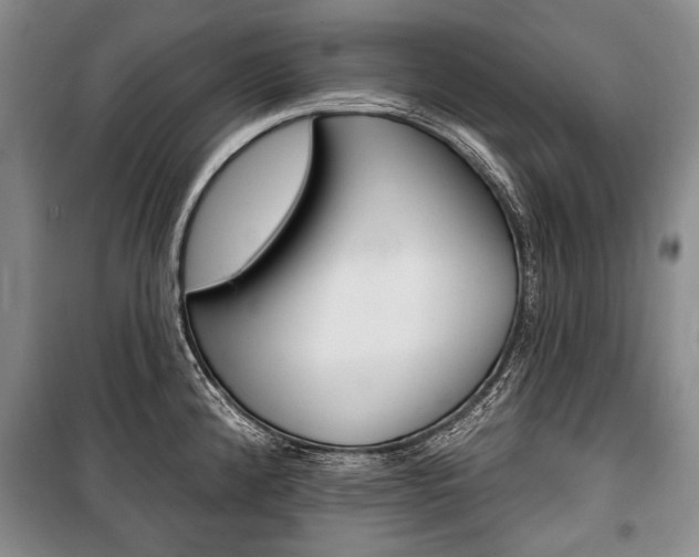 X0000101141192200806270729