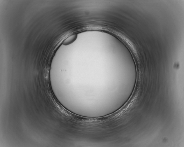 X0000101141193200806270729