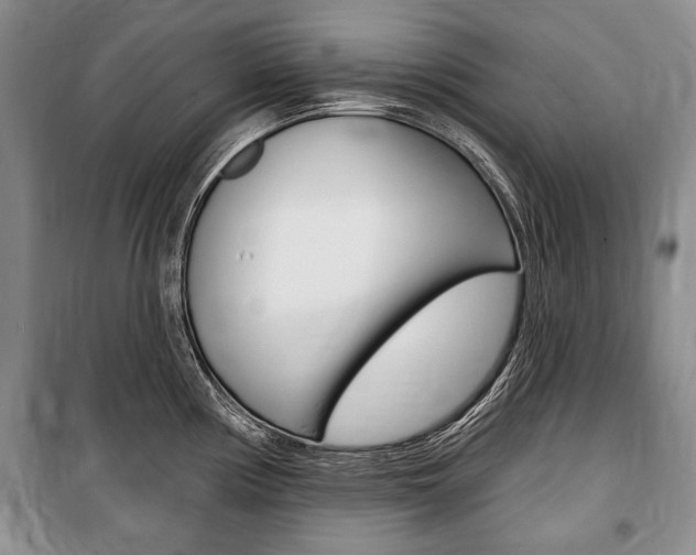 X0000101141194200806270729