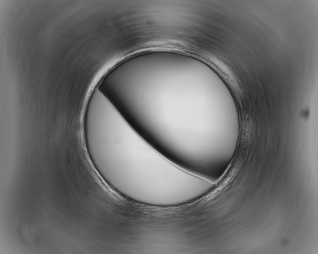 X0000101141196200806270729