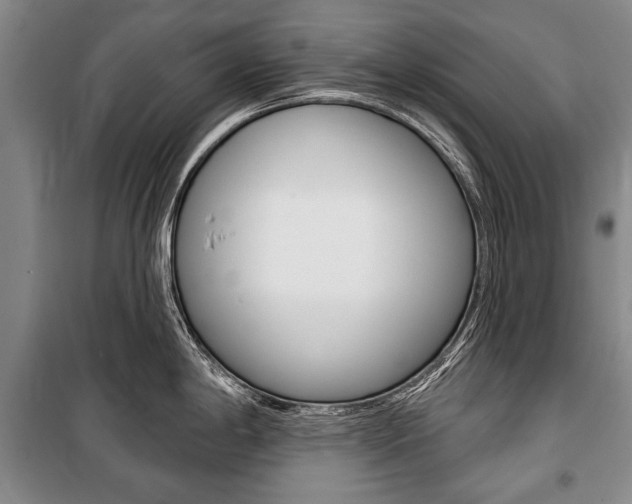 X0000101141198200806270729