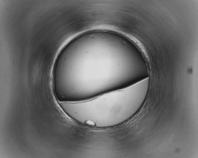 X0000101141199200806270729