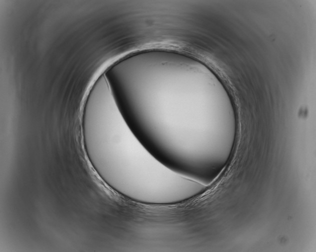 X0000101141200200806270729
