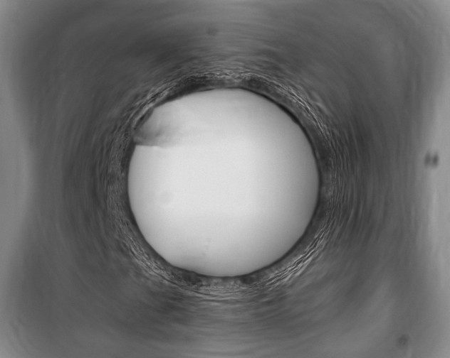 X0000101141201200806270728