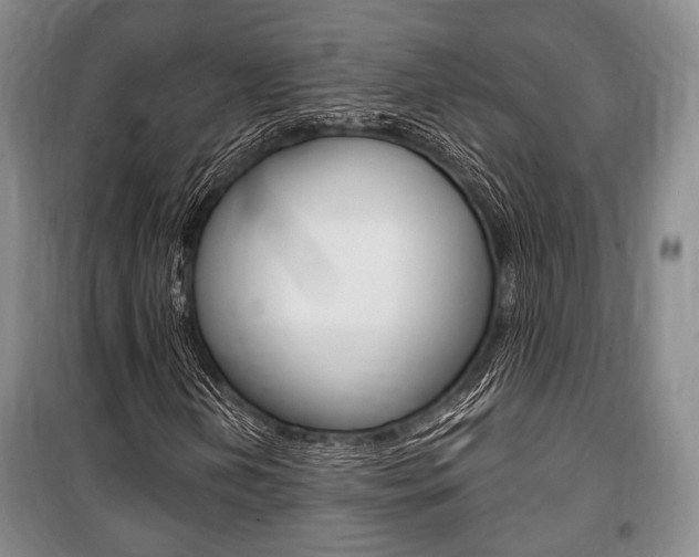 X0000101141202200806270728