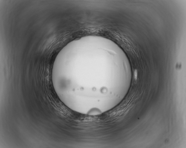 X0000101141203200806270728