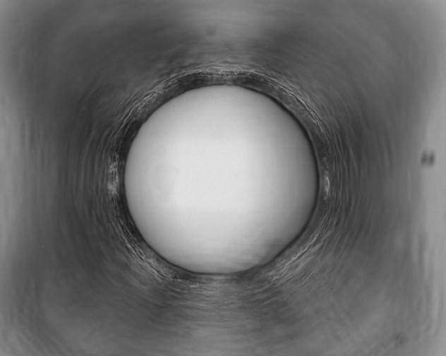 X0000101141204200806270728