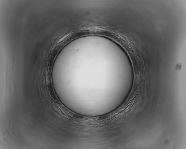 X0000101141205200806270728