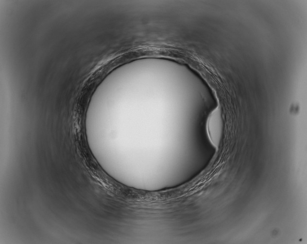 X0000101141206200806270728