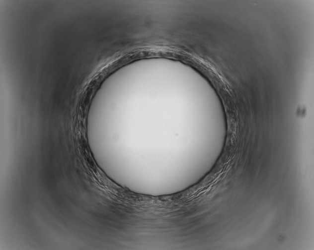 X0000101141207200806270728