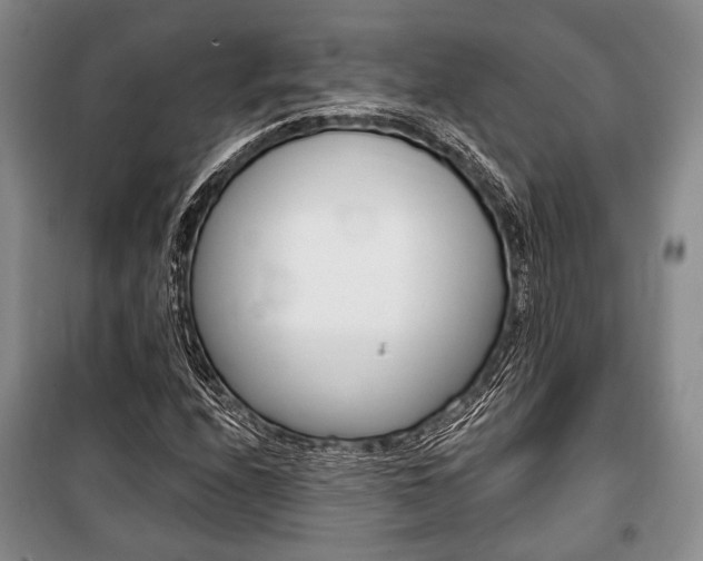 X0000101141208200806270728