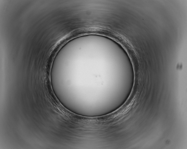 X0000101141210200806270728