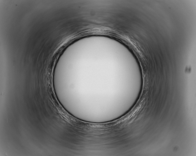 X0000101141211200806270728