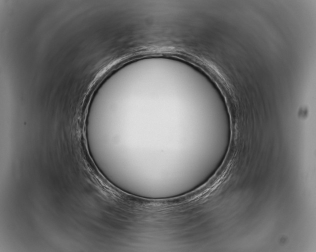X0000101141212200806270728