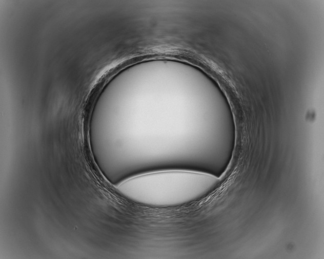 X0000101141214200806270728