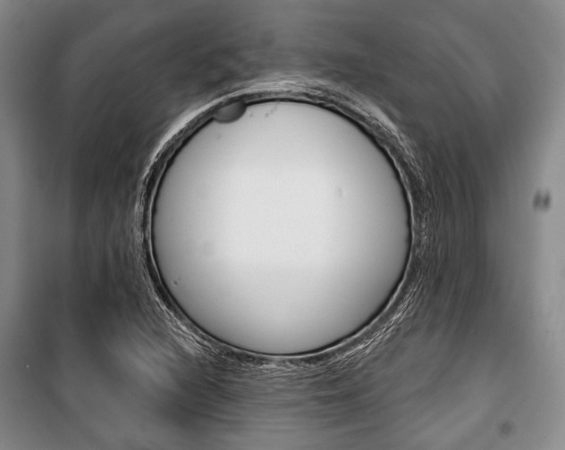 X0000101141216200806270729