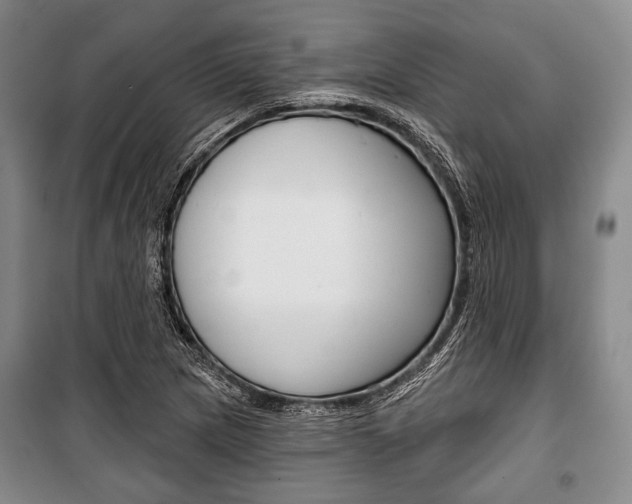 X0000101141217200806270729