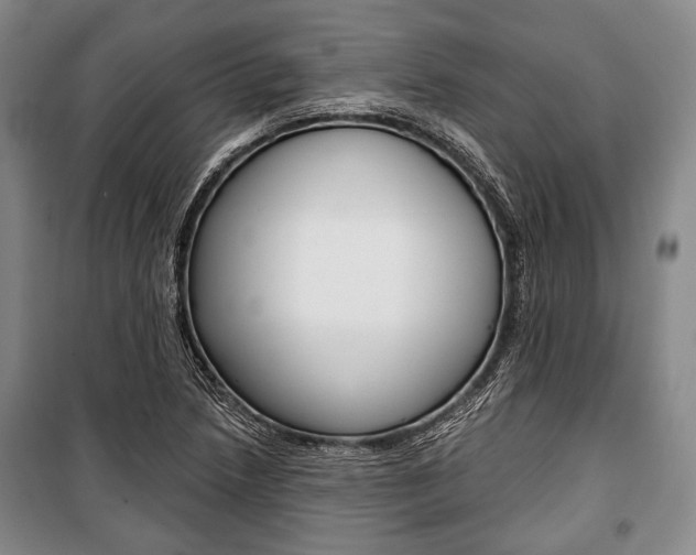 X0000101141218200806270729