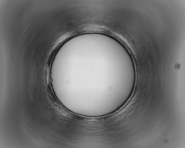 X0000101141219200806270729