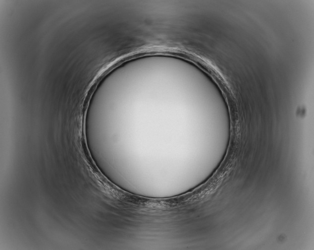 X0000101141220200806270729