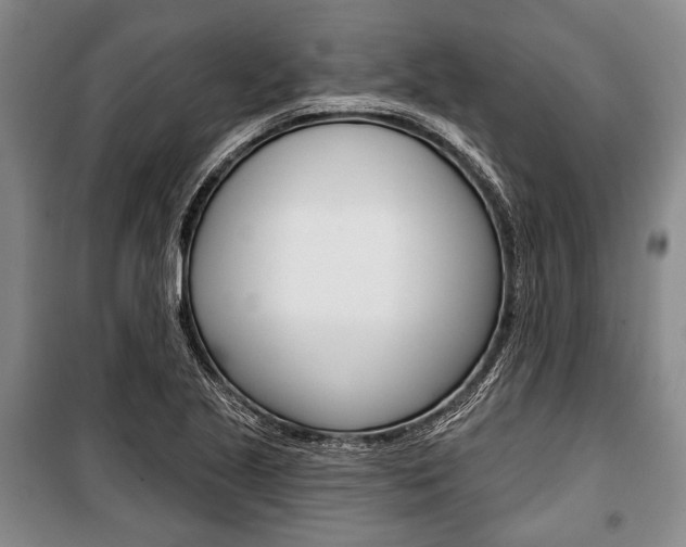 X0000101141221200806270729