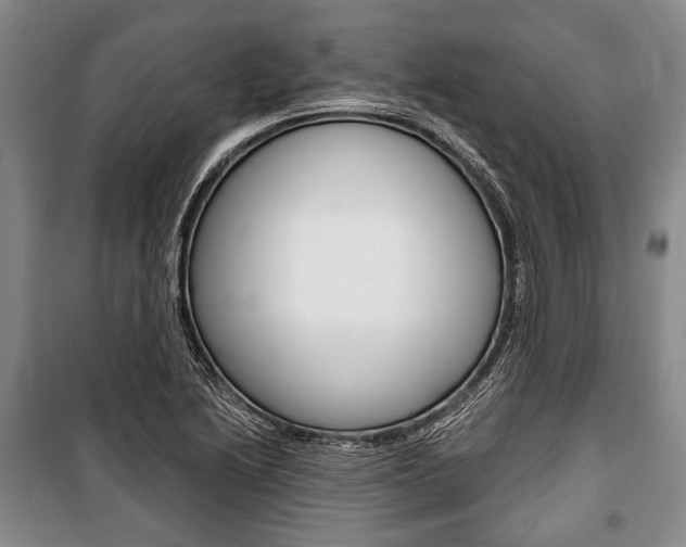 X0000101141222200806270729