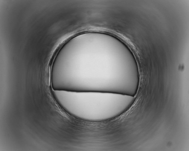 X0000101141223200806270729