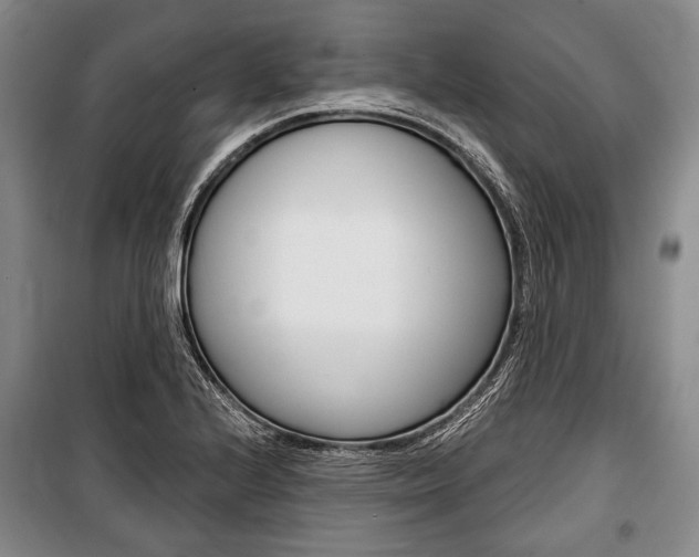 X0000101141224200806270729